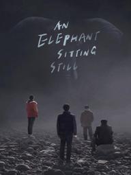 Chú Voi Ngồi Im Trên Đất - An Elephant Sitting Still (2018)