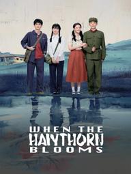 Chuyện Tình Cây Sơn Tra - When The Hawthorn Blooms (2025)