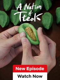 Hàn Quốc: Xứ Sở Bánh Tteok - A nation of tteok (2025)