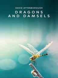 Loài Chuồn Chuồn - Dragons and Damsels (2019)