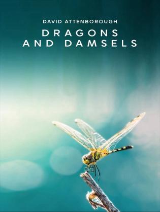 Loài Chuồn Chuồn - Dragons and Damsels (2019)