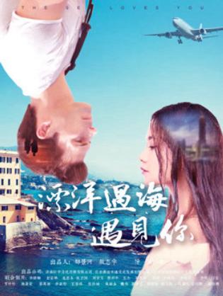 Phiêu du đại dương đến gặp em - We are Meant to Meet (2017)