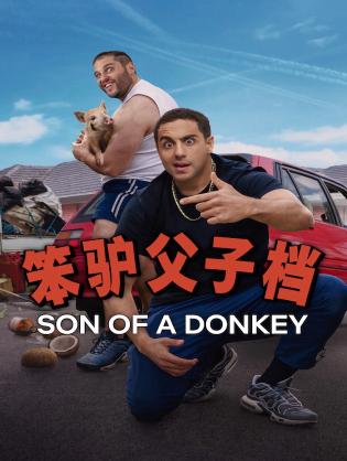 Son of a Donkey - Son of a Donkey (2025)