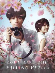 Tình yêu như cánh hoa rơi - Love Like the Falling Petals (2022)