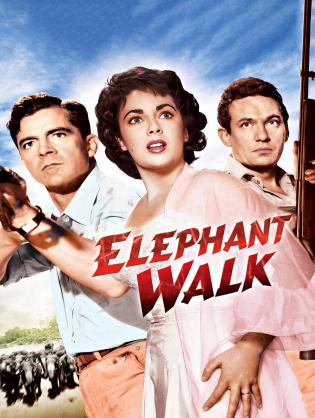 Voi đi bộ - Elephant Walk (1954)