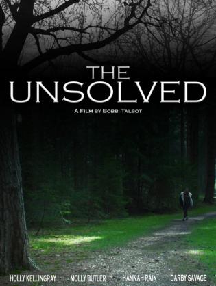 Vụ án chưa lời giải - Unsolved (2017)