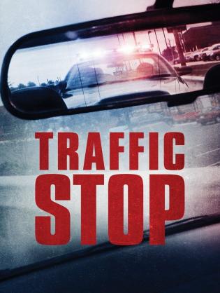 Vụ Dừng Xe - Traffic Stop (2017)